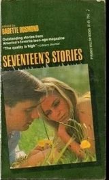 Cover of Seventeen's Stories