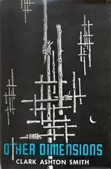 Cover of Other dimensions