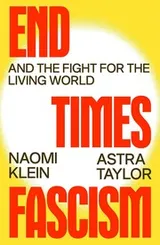 Cover of End Times Fascism