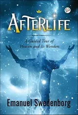 Cover of Afterlife