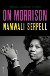 Cover of On Morrison