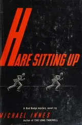 Cover of Hare sitting up