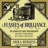 Cover of Flashes of Brilliance