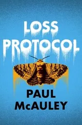 Cover of Loss Protocol