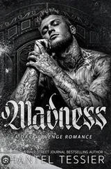 Cover of Madness