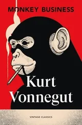 Cover of Monkey Business