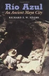 Cover of Rio Azul