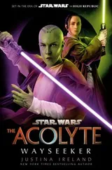 Cover of Star Wars Adult Novel - Wayseeker