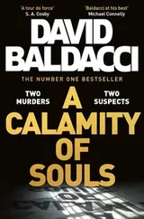 Cover of A Calamity of Souls