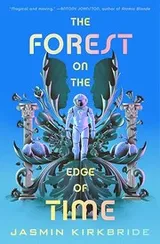 Cover of The Forest on the Edge of Time