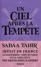 Cover of Un ciel après la tempête