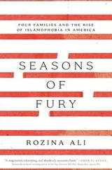 Cover of Seasons of Fury