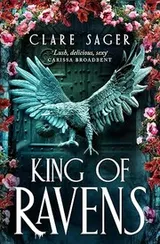 Cover of King of Ravens