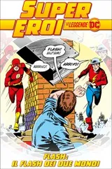 Cover of The Flash of two worlds