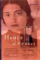 Cover of House of Houses (Bluestreak)