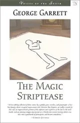 Cover of The magic striptease