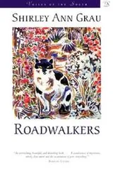 Cover of Roadwalkers