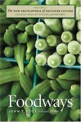 Cover of Foodways