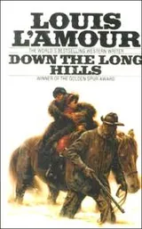 Cover of Down the long hills