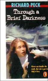 Cover of Through a Brief Darkness