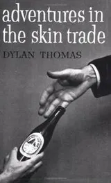 Cover of Adventures in the skin trade