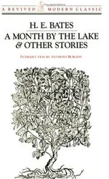 Cover of A month by the lake & other stories