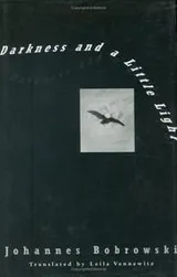 Cover of Darkness and a little light