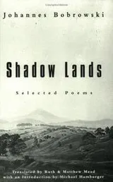 Cover of Shadow lands