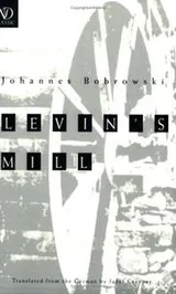 Cover of Levin's Mill (New Directions Classic)