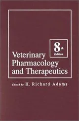Cover of Veterinary Pharmacology and Therapeutics