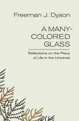 Cover of A Many-Colored Glass