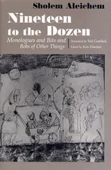 Cover of Nineteen to the dozen