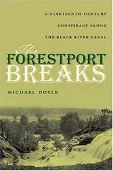 Cover of The Forestport breaks