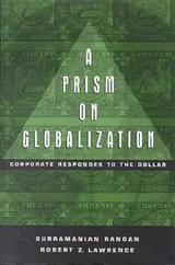 Cover of Prism on Globalization