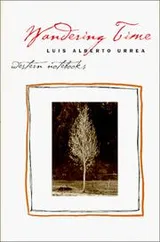 Cover of Wandering time
