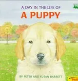 Cover of A day in the life of a puppy