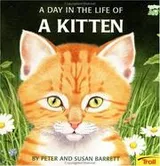 Cover of A day in the life of a kitten