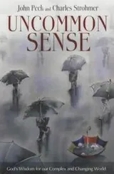 Cover of Uncommon Sense
