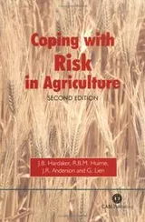 Cover of Coping with risk in agriculture