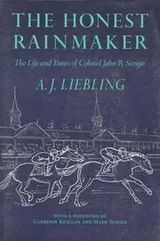 Cover of The honest rainmaker