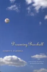 Cover of Dreaming Baseball (Writing Sports)