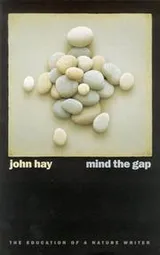 Cover of Mind the Gap