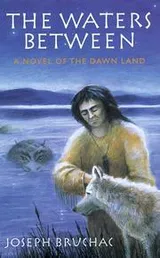 Cover of The waters between