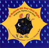 Cover of It rained all day that night