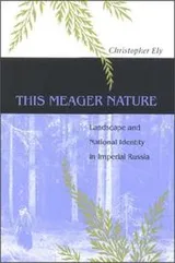 Cover of This meager nature