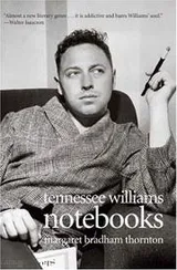 Cover of Notebooks