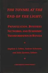 Cover of The tunnel at the end of the light