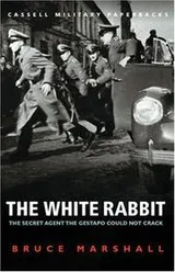 Cover of The White Rabbit
