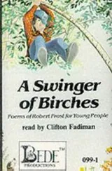 Cover of A Swinger of Birches