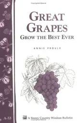 Cover of Great Grapes